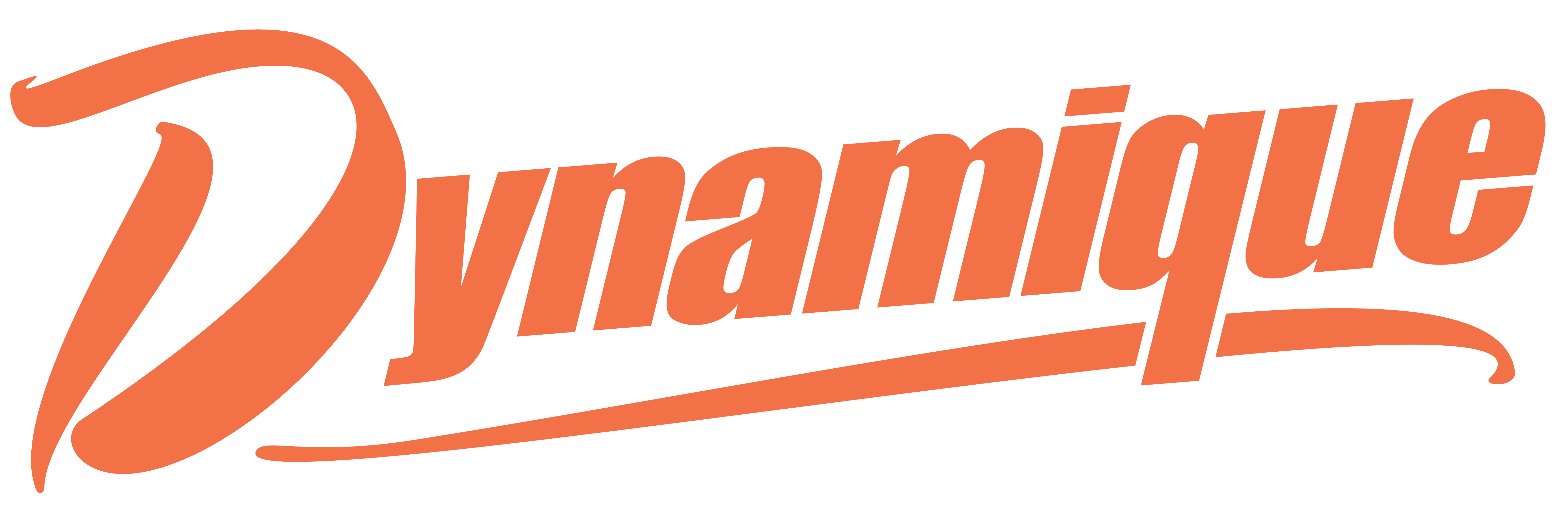 Logo Réseau Dynamique